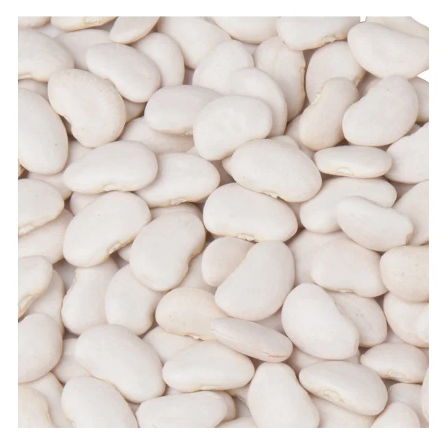 
High Quality Large Lima Beans Available For Sale 