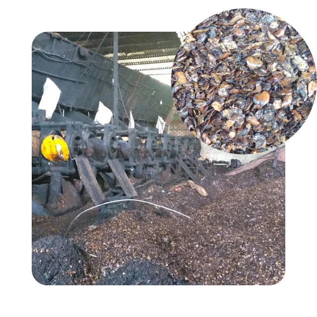 Оптовая продажа, кешью шелухи, дешевая кешью шелуха из Вьетнама