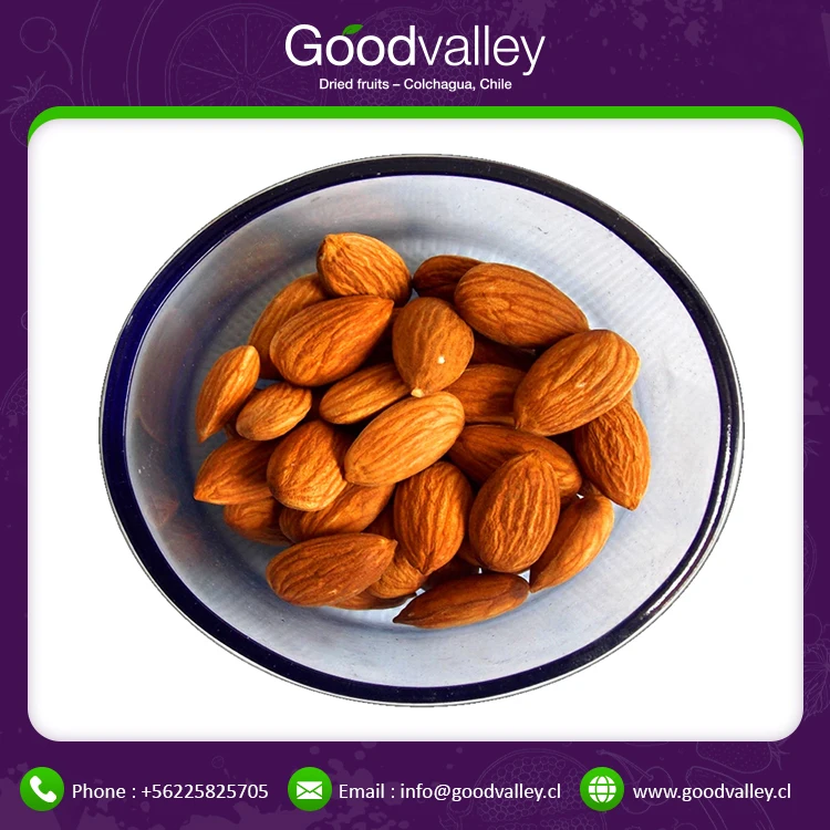 2021 Wholesale Top Quality Factory Organic Almond Nuts Kernels for Reduced Blood Pressure