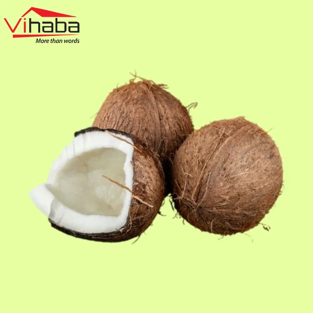 Top exporter dehydrated fruit organic coconut vietnam nuts and dried fruit export of coconut fiber