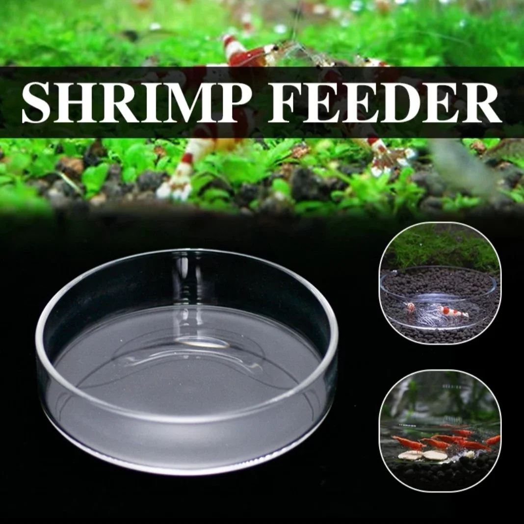 Aquarium Shrimp Feeding Dish Clear Glass Feeder Cup Fish Tank Feeding Food Tray Bowl for Shrimp Fish