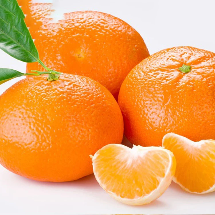 Best sales wholesale fresh mandarin orange manufacturers