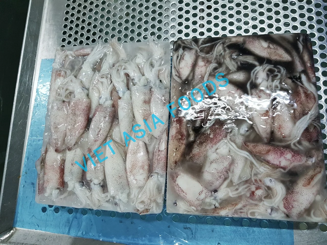 SQUID NEW PRODUCT HIGH QUALITY SQUID WHOLE RAW 6-8CM FROM VIETNAM