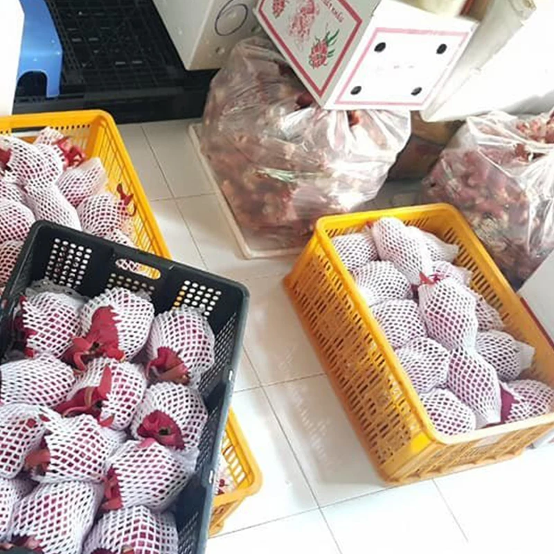 
Fresh Dragon Fruit Made in VietNam High quality Dragon Fruit 
