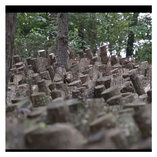 Уксус пермана 500 мл лучший корейский полезный фруктовый экстракт напиток сушеный и консервированный продукт уксуса