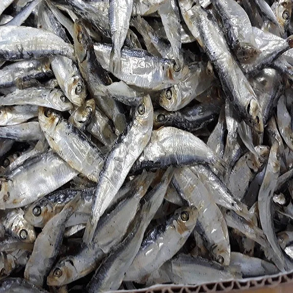 Dried Salted Herring fish/Hilsa TorI AMBER
