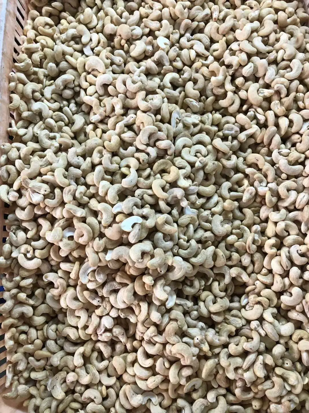 Wholesale Top Quality Made in Viet Nam CASHEW KERNELS WW320 - AFI STANDARD