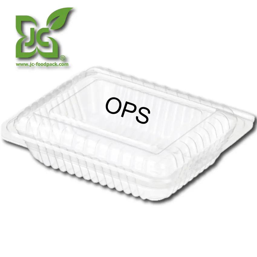 
plastic rectangular hinged container unlock 