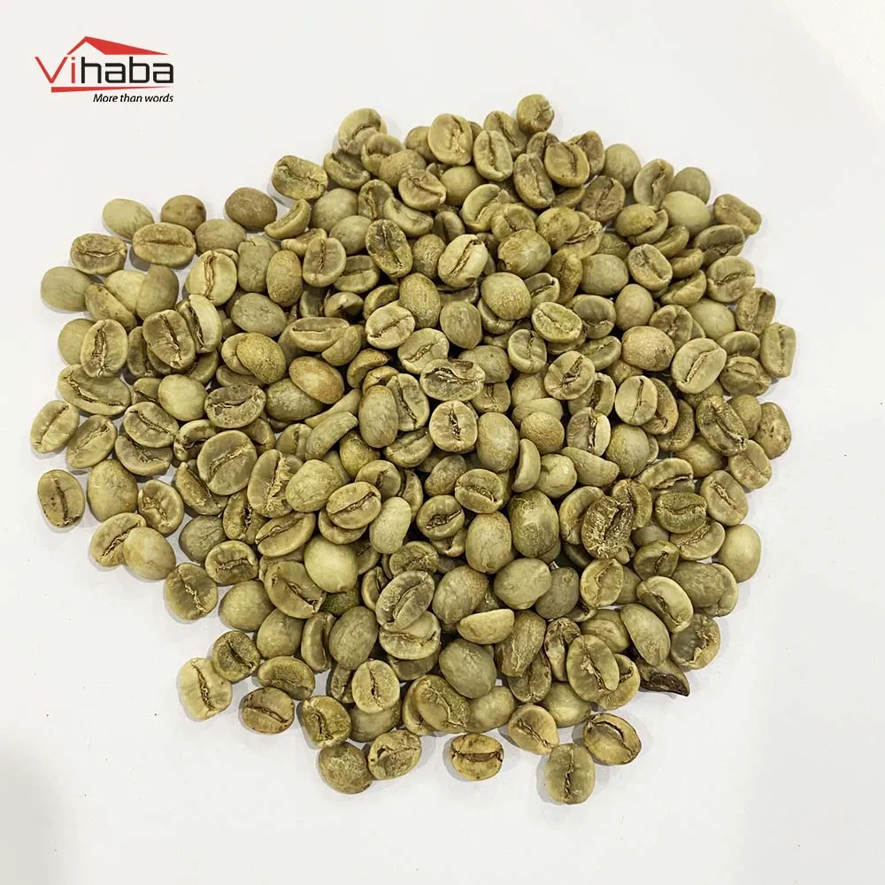 Ready to ship green coffee beans robusta pure coffee pack kopi robusta espresso coffee