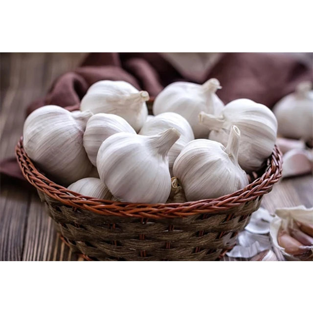 Garlic for Export / Fast delivery and Quick response / Wholesale from Vietnam
