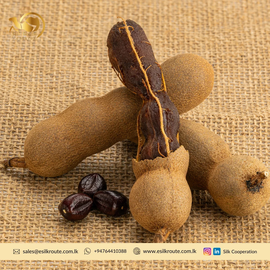 Оптовая продажа отдельные специи и травы продукты коричневого цвета экспортное качество свежий сушеный сладкий тамаринд с семенами для продажи