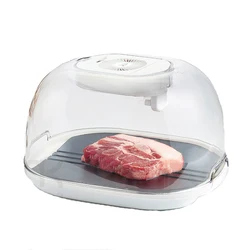 Oxygen ions releasing fast household thawing plate defrosting tray