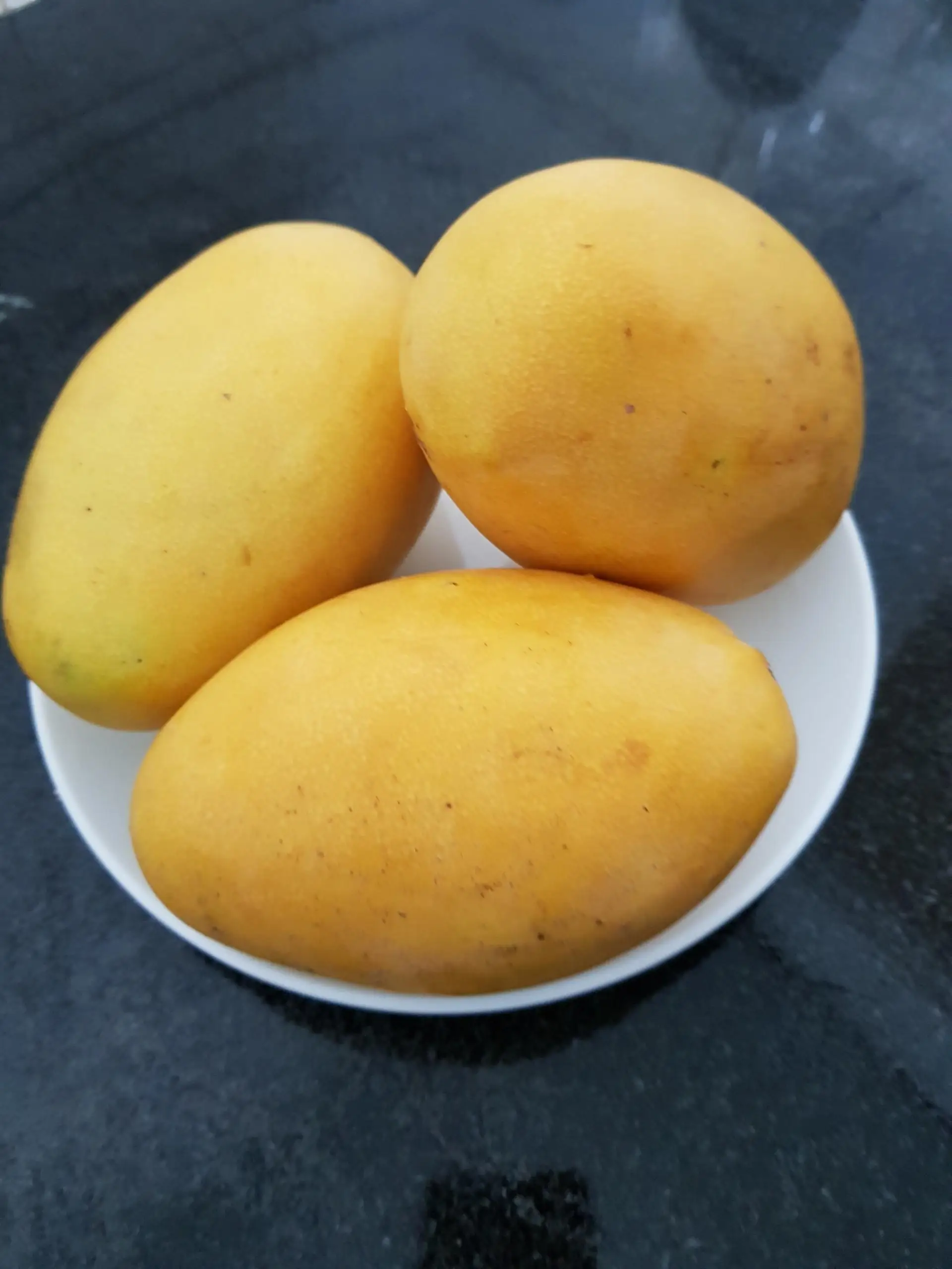 Sub - season Offer Best Price CAT CHU Mango Vietnam Tropical Fruit New Crop 2021