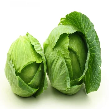 Fresh Cabbages (10000007452639)