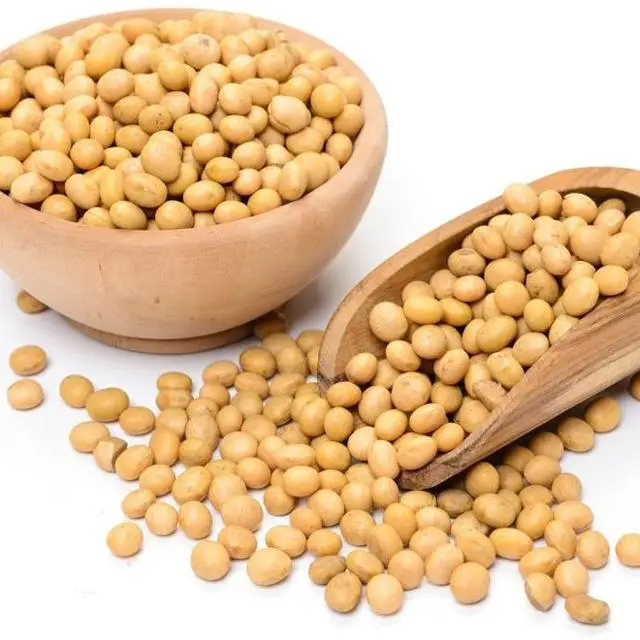 animal feed soya bean meal, soybean meal soya bean, soya bean meal price in South Africa