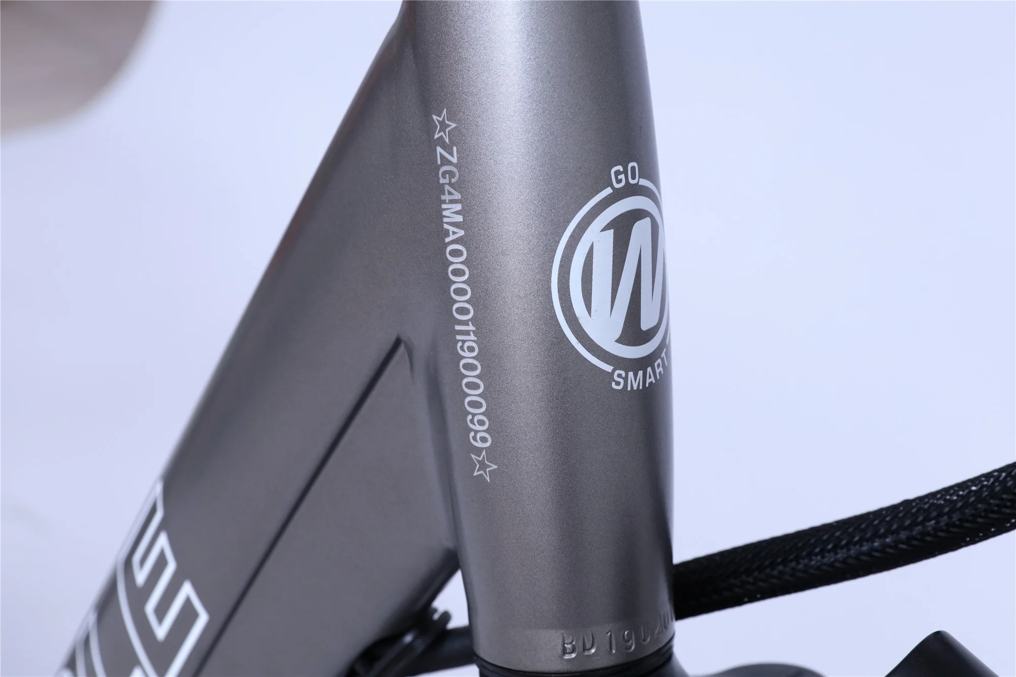 New Adult 36V 250W Belt Drive Vintage Mid Drive mountain ebike electric city bicycle with Shimano 7 speed gear