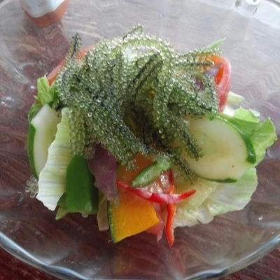  Морской виноград-морские водоросли UMIBUDO лучший выбор для качества 100 граммов из Вьетнама (Ms Деми + 84 961733400)