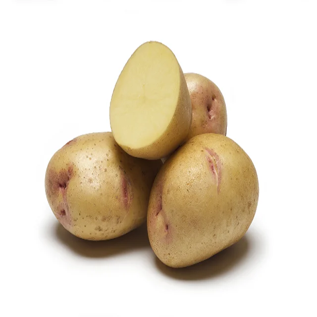 Potato -An Army of Potato