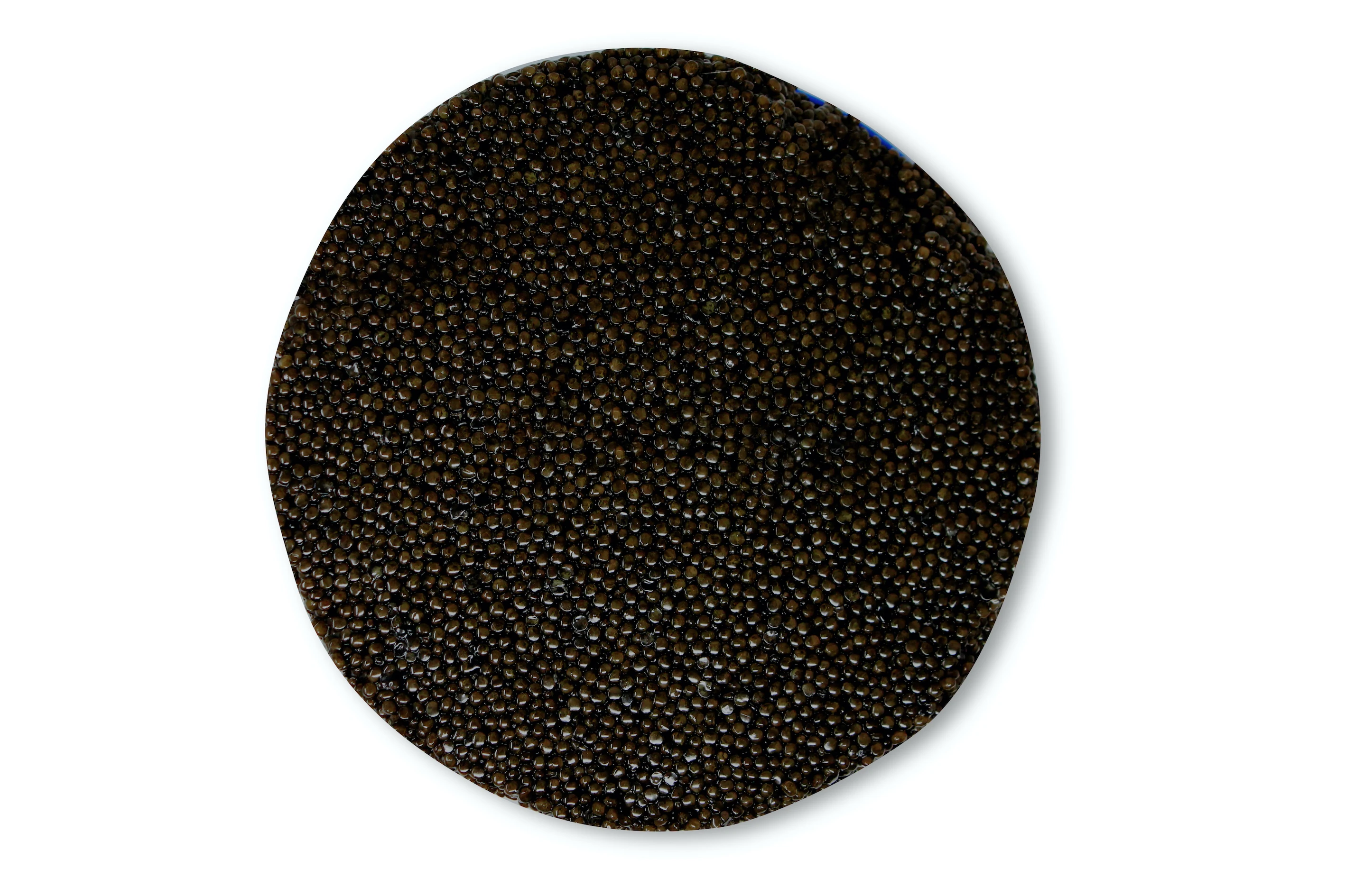 Top Quality Italian Sustainable Siberian Sturgeon Caviar Malossol 1800gr Tin