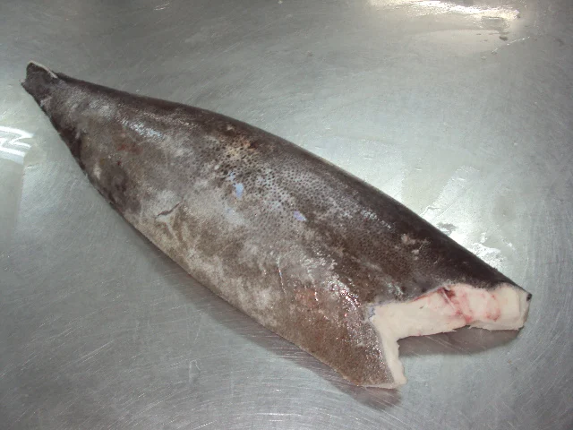 Свежая замороженная филе масляной рыбы/масляная рыба HGT(Lepidocybium flavoбрюneum) премиального качества