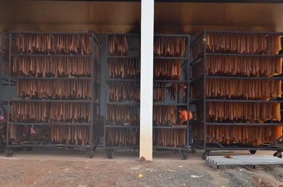 Ribber smoked sheet Natural rubber rss1