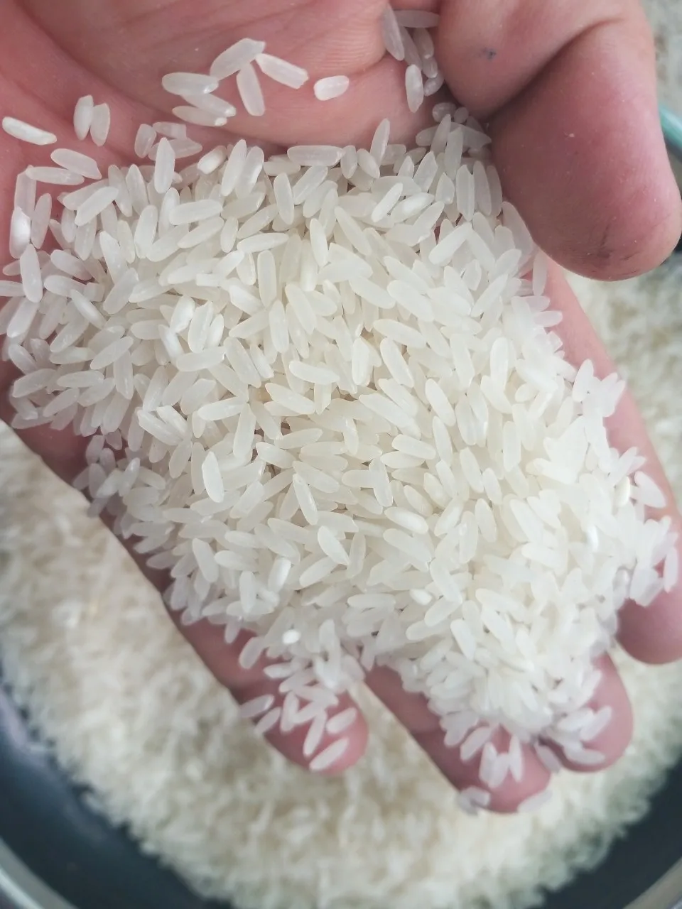 Ароматизированный рис с длинным зерном изготовленный в Вьетнаме сушеный стиль высокое качество хит продаж 2021 году