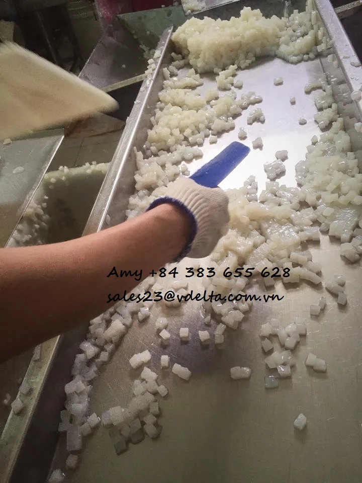 ПРЕССОВАННОЕ сырье NATA DE COCO сделано во Вьетнаме для желе и пудинга (AMY - 84 383