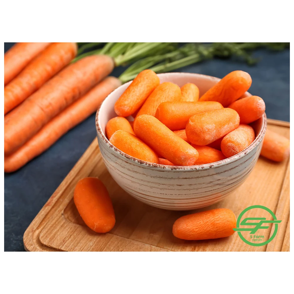 Wholesale Customized Carrot Fresh VIETNAM CARROT 100% Natural Healthy Carton Orange Organic Cultivation