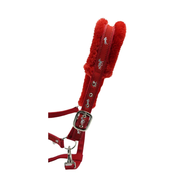 Top Seller High Quality PP Horse Halters Bulk Manufacturer Supplier Buy At Low Price