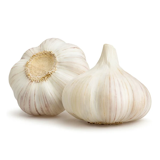 100 % Natural Quality Pure White Garlic Available at Cheapest Price In Huge Stock