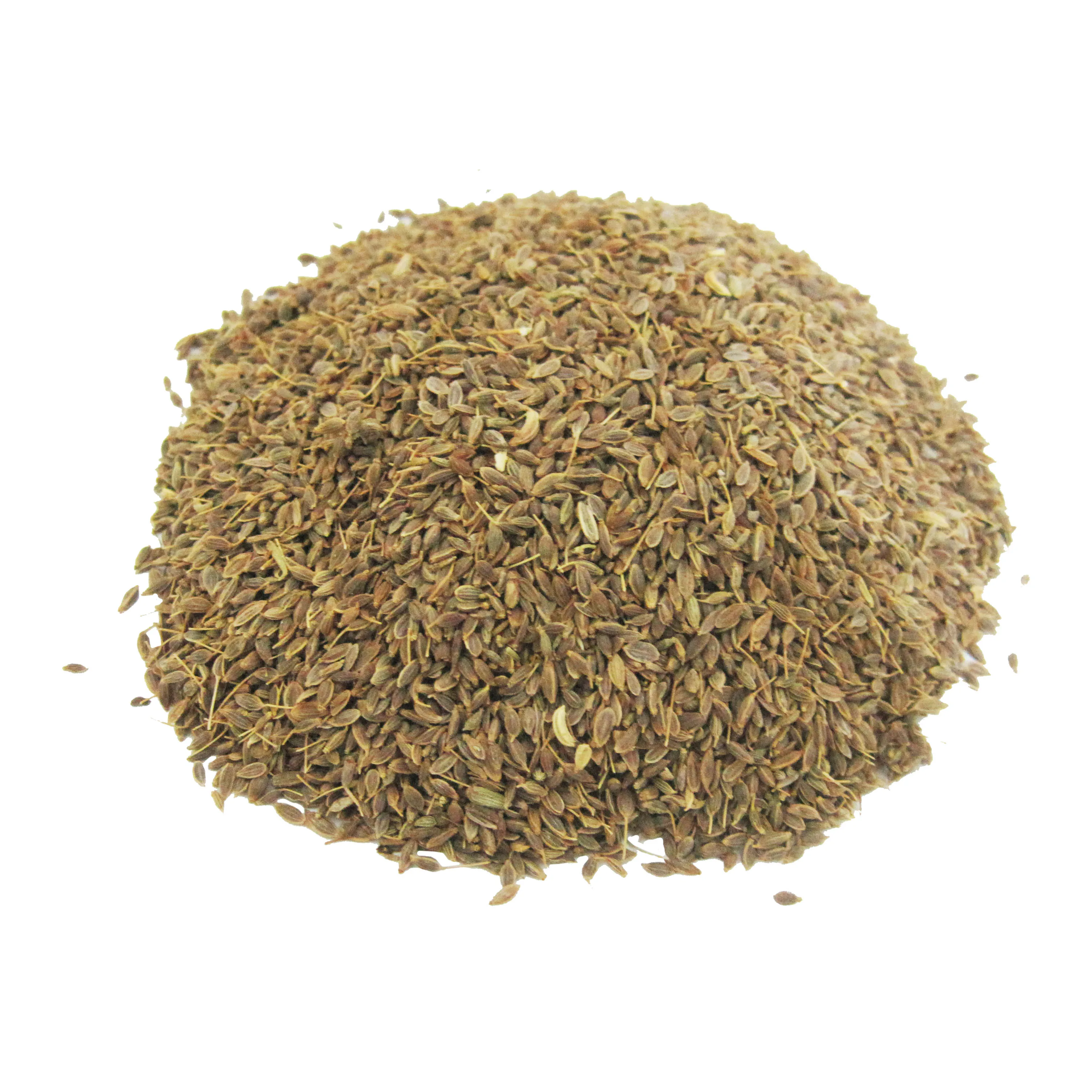 Carom Seeds SINGLE HERBS & SPICE ISO HIGH QUALITY AJWAIN SEED