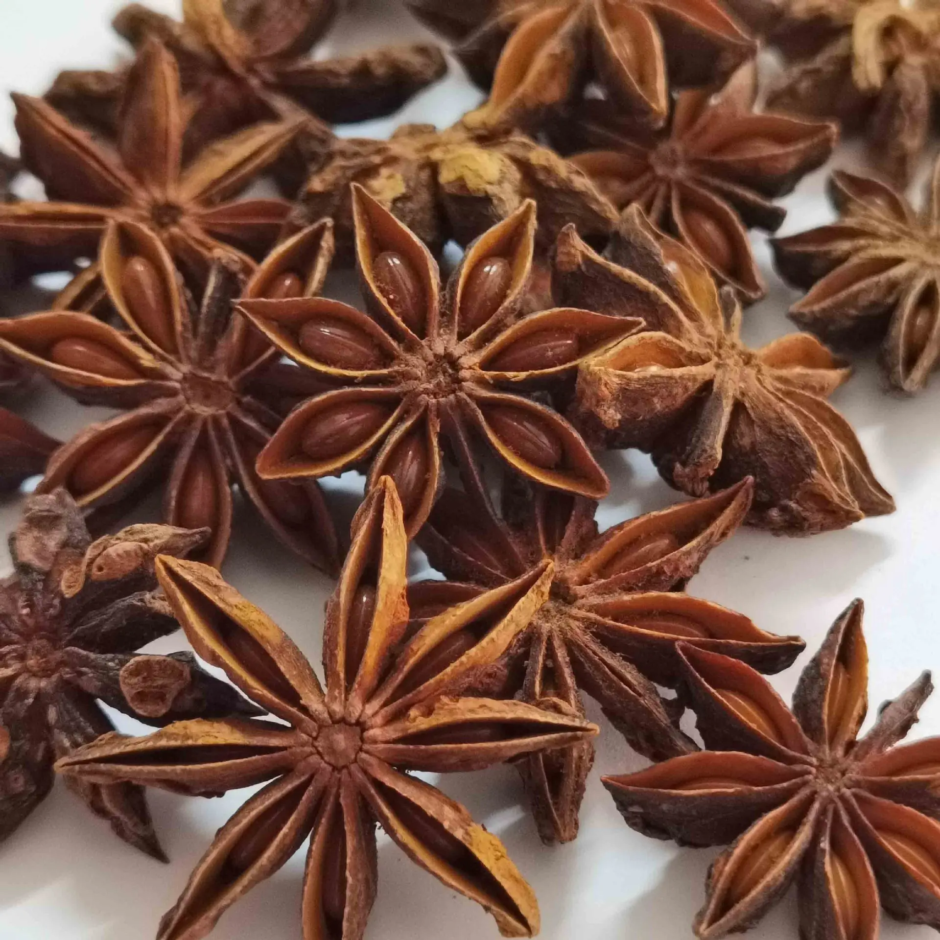Exporters of Premium Quality Star Anise best quality in star aniseed whole sun dried star anise Single Herbs & Spices