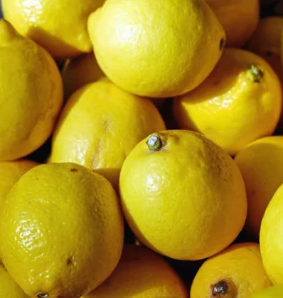 HIGH QUALITY Fresh Lemon - TURKEY (Antalya) 2022