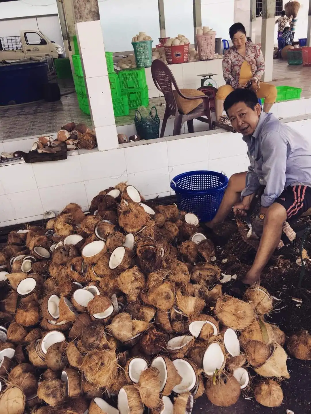 Fresh Mature Coconut for Wholesale / Semi husked mature coconut from Vietnam Quick Response