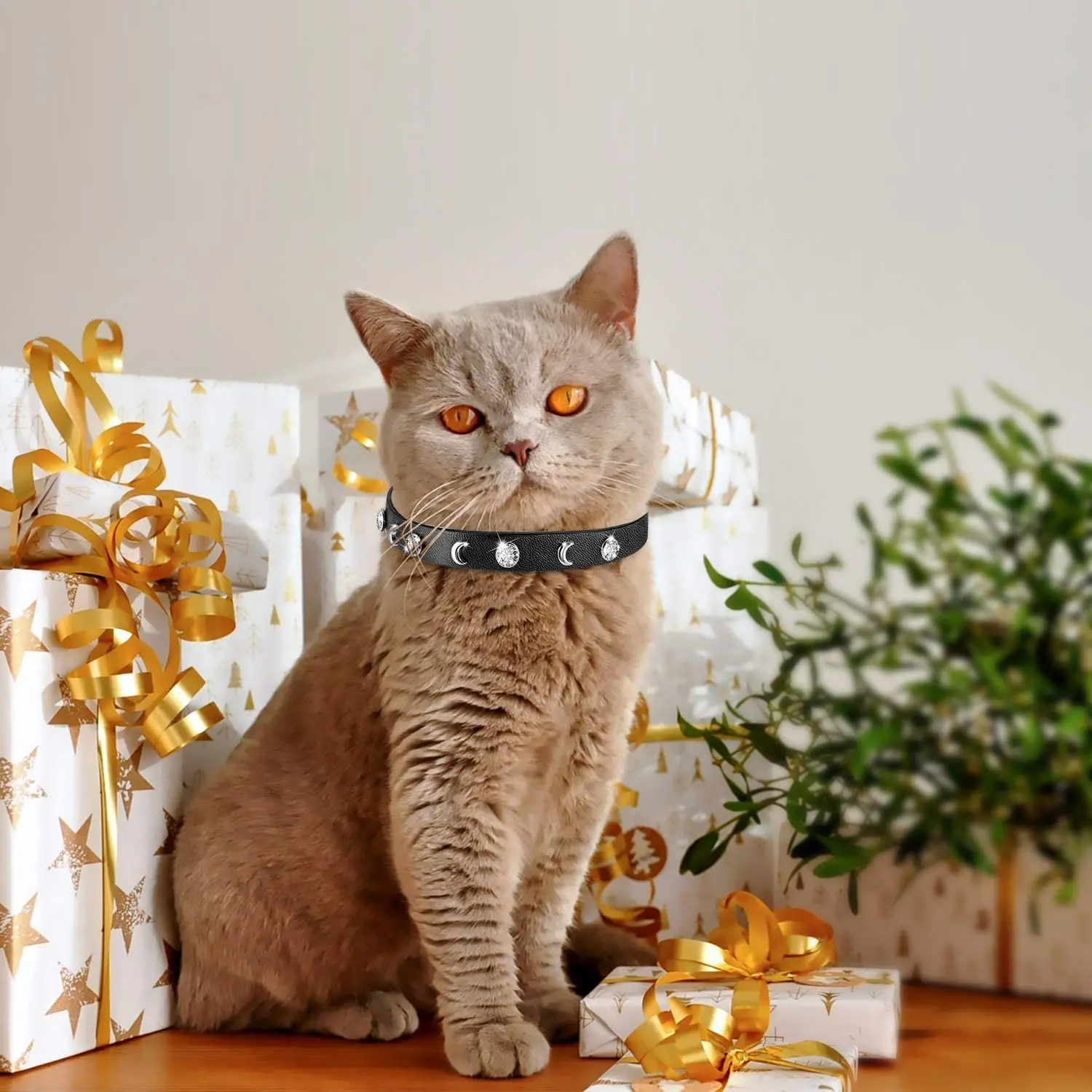 Great Soft Leather Durable Leather Cat Collar Pet Collar Accessories with Premium Diamond & Moon Rivet