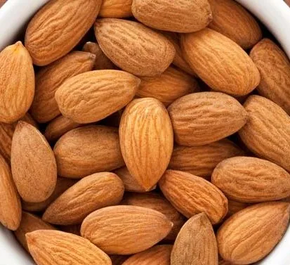 Almond Nuts, Almond Kernel, Sweet Almond Natural Wholesales