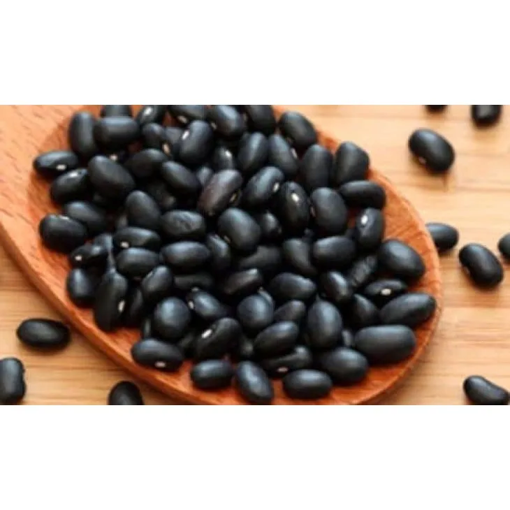 Viet Nam Manufacturer High Quality Black Bean 500gr With Factory Price From Viet Nam