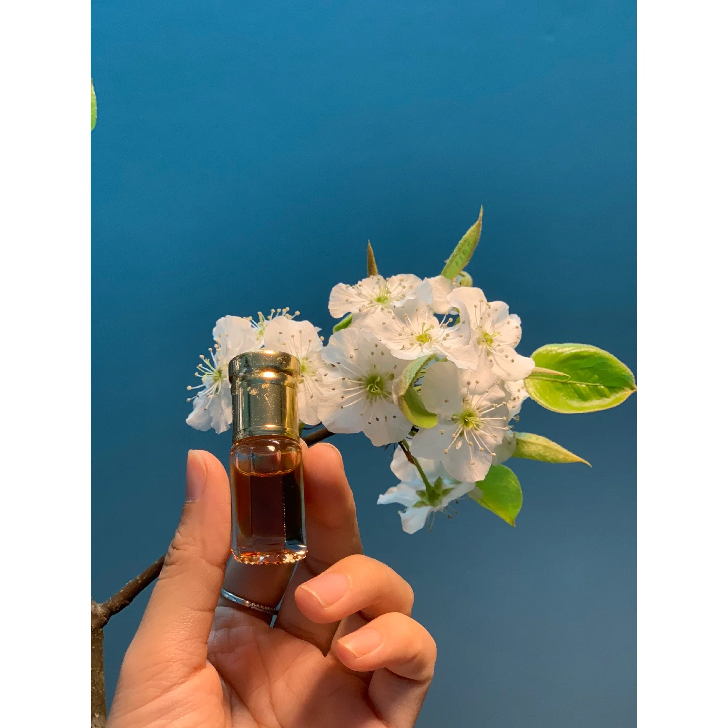 Anti-aging Vietnam Origin 3 ML Relaxation Anti-Odour Pure Essential Agarwood Wood Oud Oil