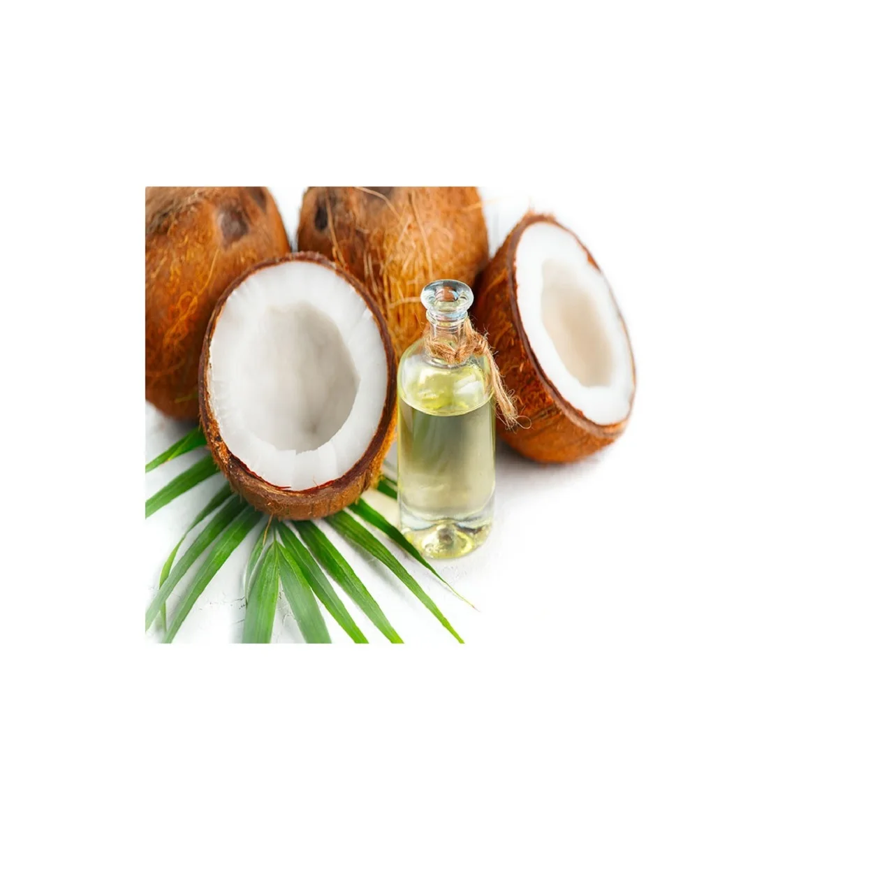 
Bulk Quantity Of Coconut Essential Oil Available Here At Best Prices 