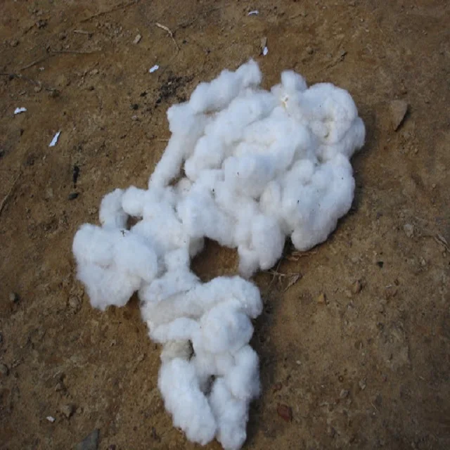  100% Cotton Comber Noil/ Raw Cotton/ Lickerin/ Flat
