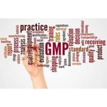 Professional Gmp document translations services Provide High Quality Certificate Translation Services, Across The Globe At delhi
