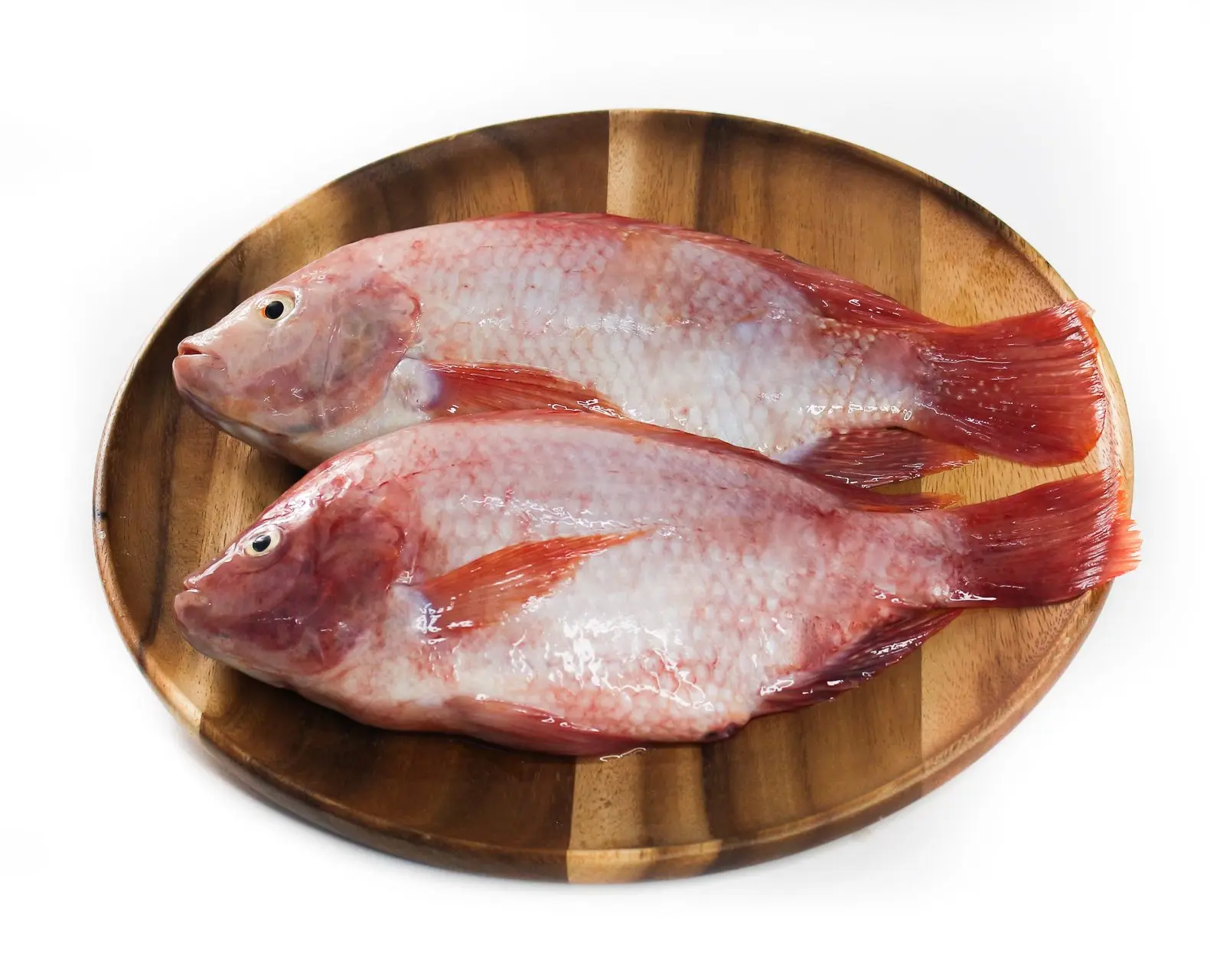Best Wholesale Frozen Red Tilapia Fish from Vietnam (Thai Lien Company, Ms Phuong: +84789196389)
