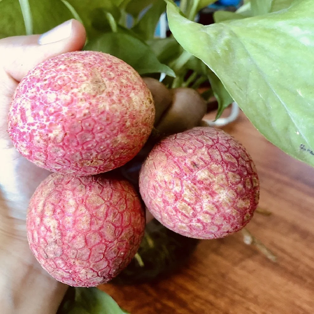 Вкусные личи тропические фрукты мясо вкусные и безопасные номер один во Вьетнаме