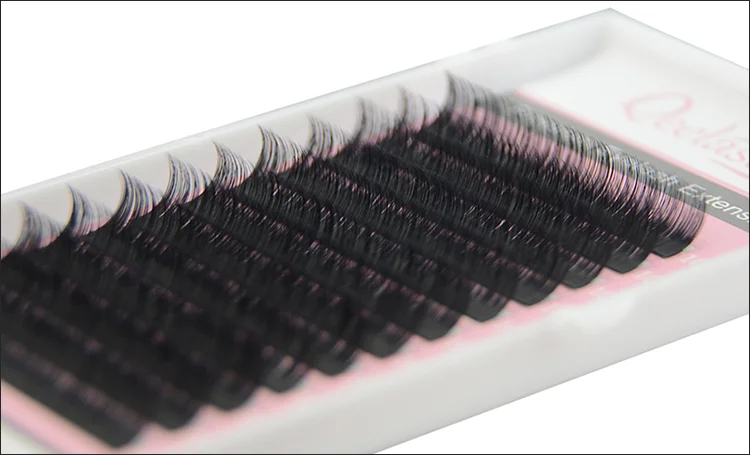 
Professional korea pbt hair volume eye lashes private label eyelash extensions 