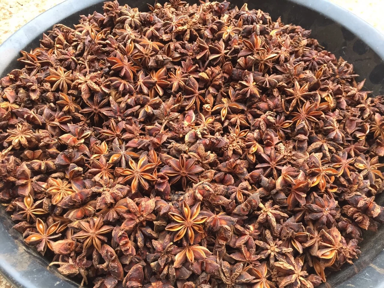 Quality trusted by many people using Star Anise China Spices and Herbs