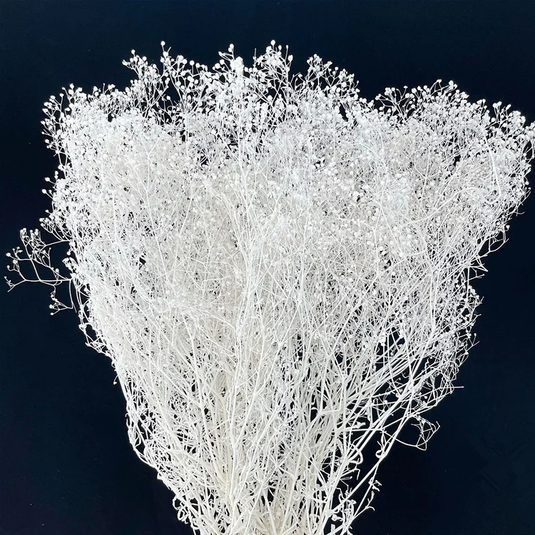 wholesale preserved flower babysbreath million star flower mini dried gypsophila for home decoration