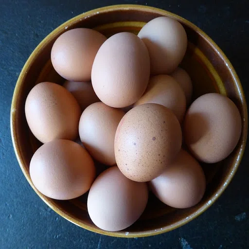 Chicken Eggs Ostrich Eggs, Chicken Eggs, Turkey Eggs Fresh Table Eggs Brown And White Farm Fresh Chicken Eggs