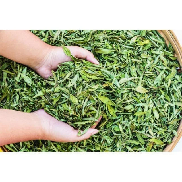 The best product Dried Stevia Tea For Healthy Care From Thailand Origin Premium High Quality