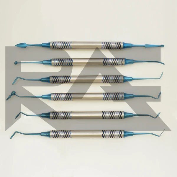 
Dental Composite Filling Instrument 6pcs Set Precise Blue Tips Light Weight Stainless Steel CE Certified RAFTECH IMPEX 