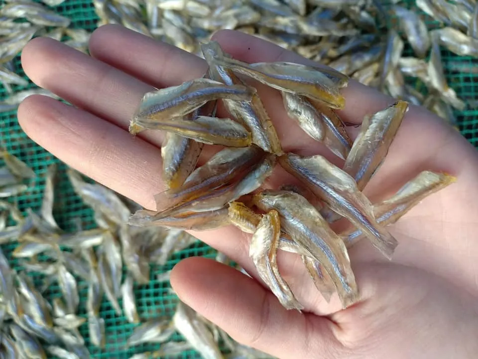 Сушеный СПАТ/сушеный на солнце рыба Анчоуса из Вьетнама по хорошей цене // Sven + 84 966722357